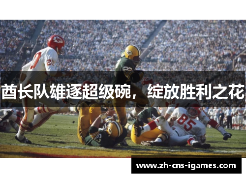 酋长队雄逐超级碗，绽放胜利之花