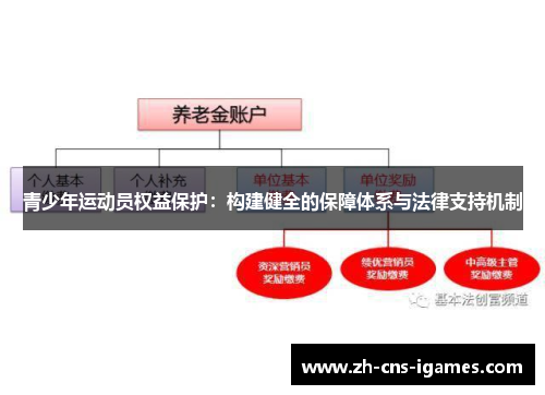 青少年运动员权益保护：构建健全的保障体系与法律支持机制
